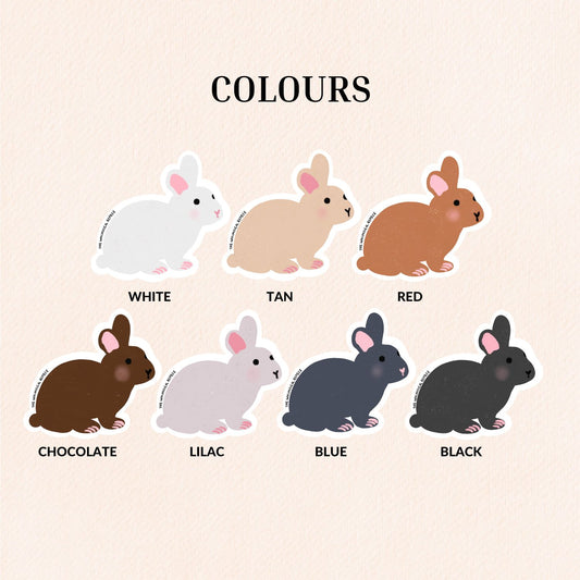 Mini Rex Rabbit Vinyl Sticker, 7 Colours