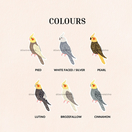 Cockatiel Vinyl Sticker (6 Colours)