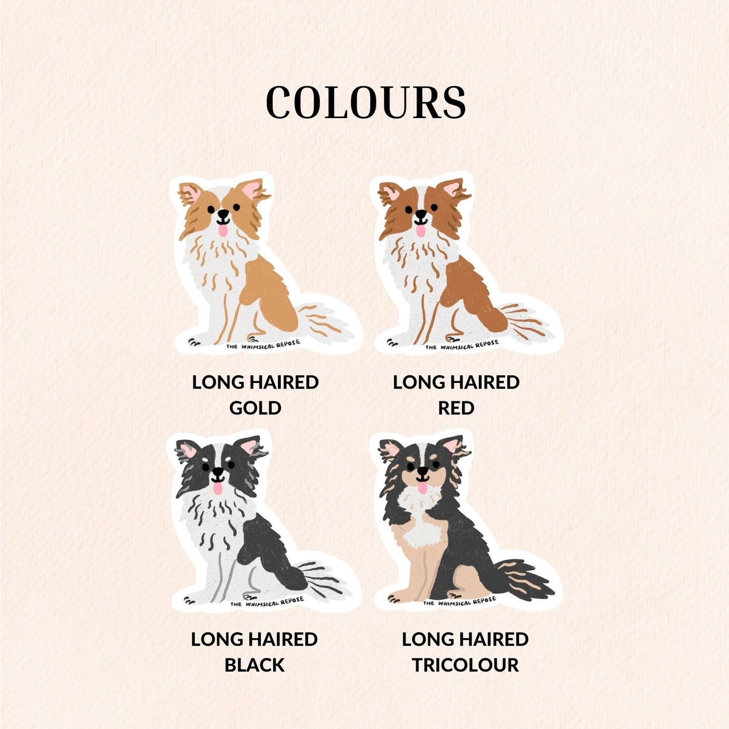 Chihuahua (Long Haired) Sticker, 4 Colours