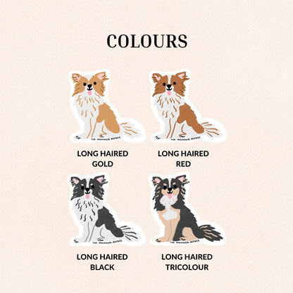 Chihuahua (Long Haired) Sticker, 4 Colours