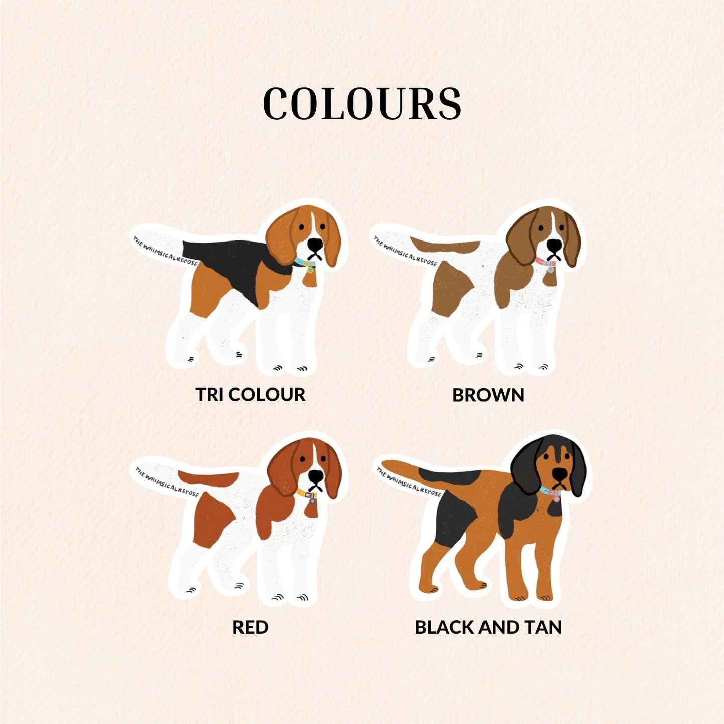 Beagle Vinyl Sticker, 4 Colours