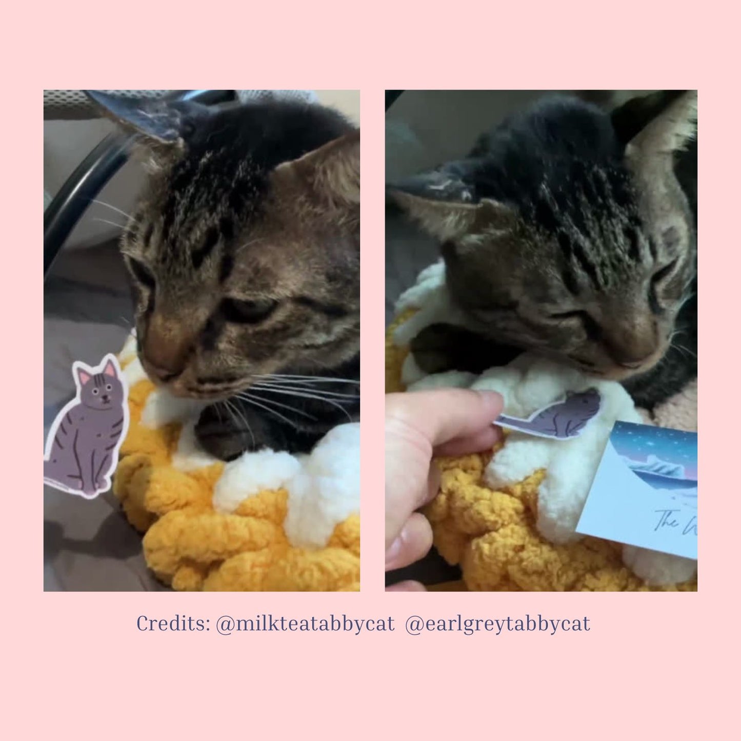 Tabby Cat Vinyl Sticker, 5 Colours