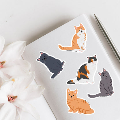 British Shorthair Cat Vinyl Sticker, 6 Colours
