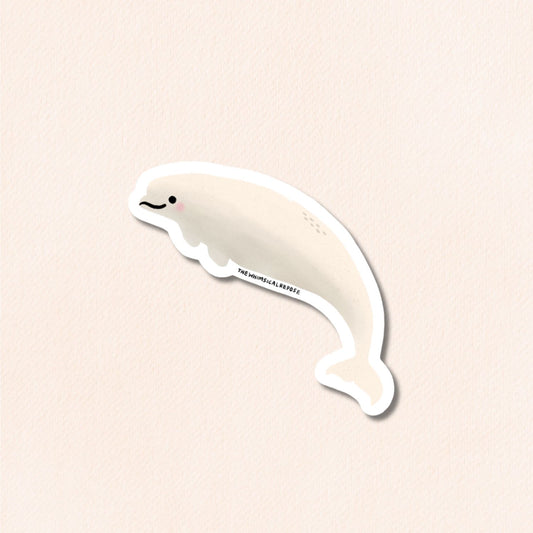 Beluga Whale Vinyl Sticker