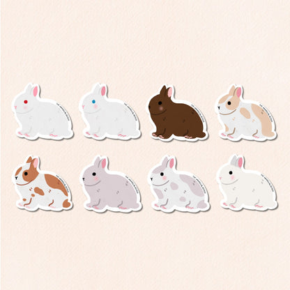 Netherland Dwarf Bunny Vinyl Sticker, 26 Colours