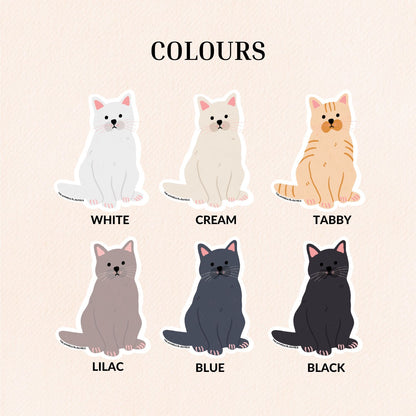 British Shorthair Cat Vinyl Sticker, 6 Colours