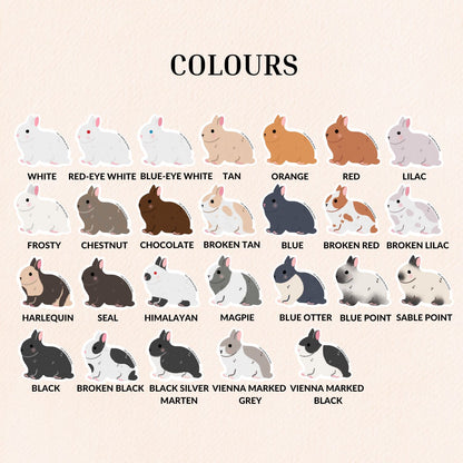 Netherland Dwarf Bunny Vinyl Sticker, 26 Colours