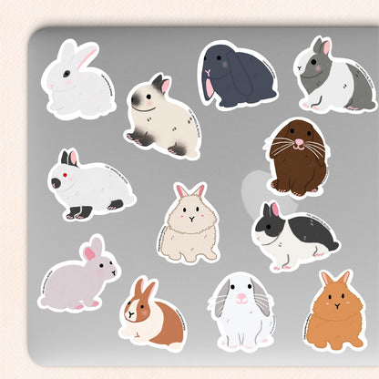 Lionhead Rabbit Vinyl Sticker, 8 Colours