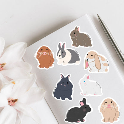 Blanc De Hotot Rabbit Vinyl Sticker