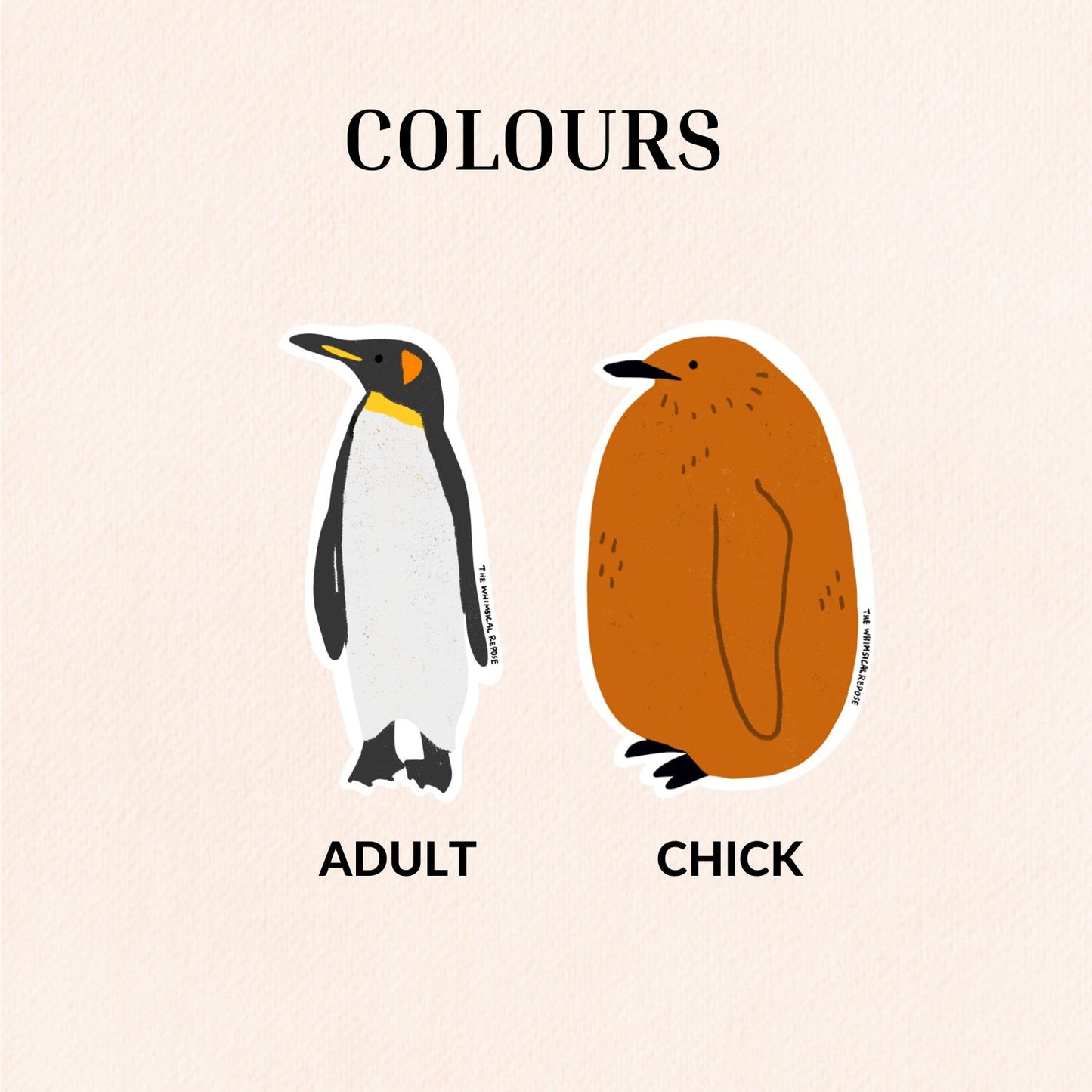 King Penguin Sticker