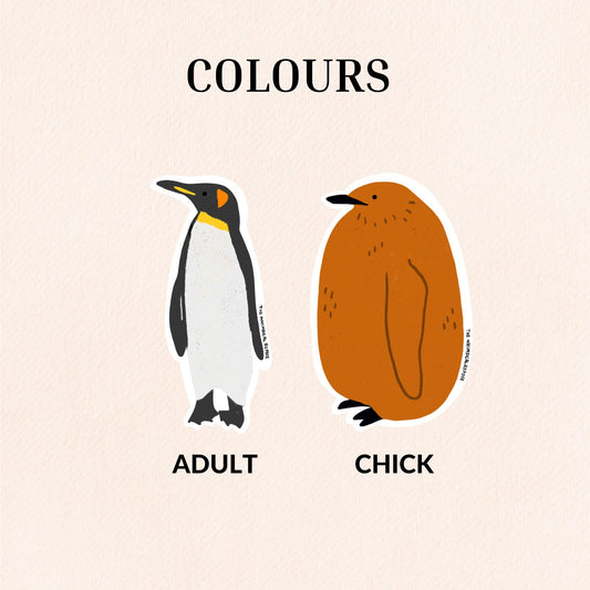 King Penguin Sticker