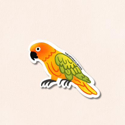 Sun Conure Vinyl Sticker