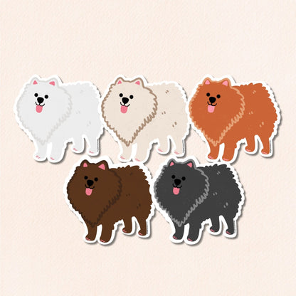 Pomeranian Vinyl Sticker, 5 Colours