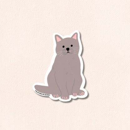 British Shorthair Cat Vinyl Sticker, 6 Colours