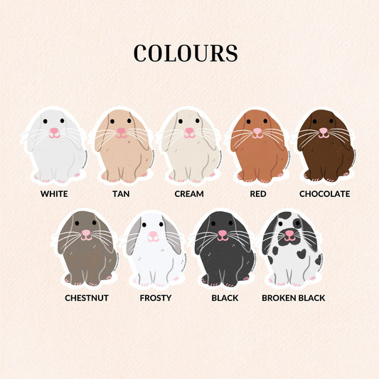 Holland Lop Rabbit Vinyl Sticker, 9 Colours