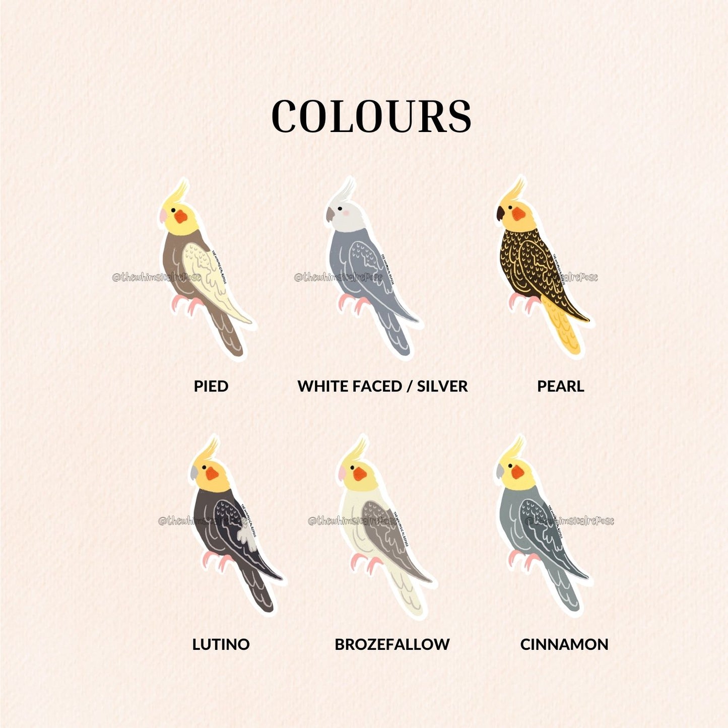 Cockatiel Vinyl Sticker (6 Colours)