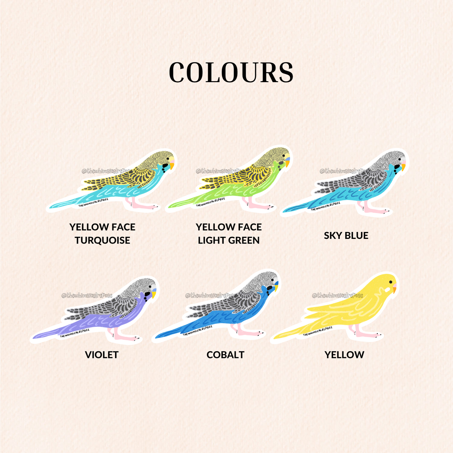 Budgies Vinyl Sticker, 6 Colours