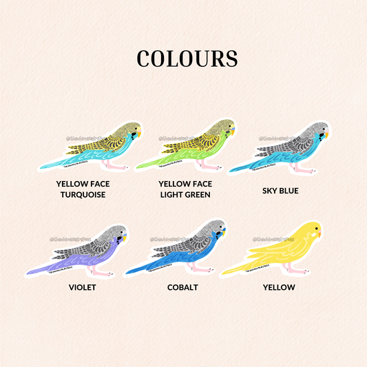 Budgies Vinyl Sticker, 6 Colours