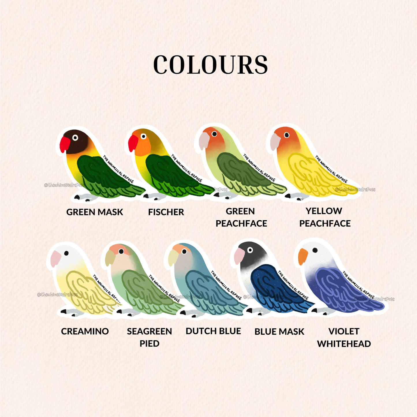 Lovebird Vinyl Sticker, 9 Colours