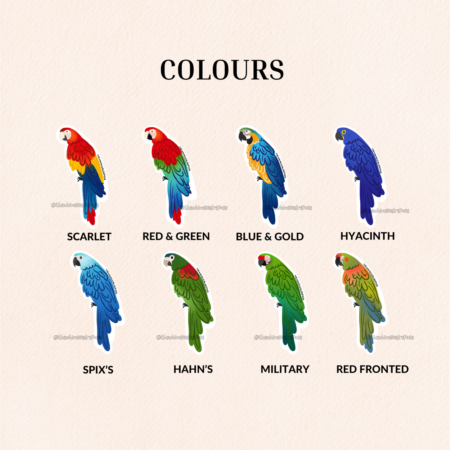 Macaw Vinyl Sticker, 8 Colours