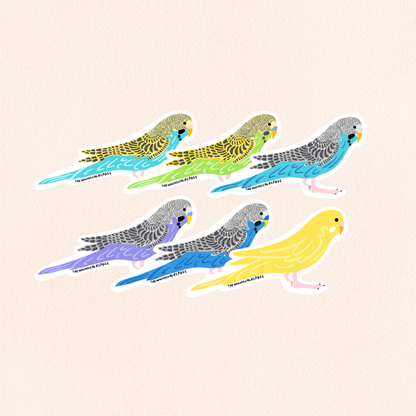 Budgies Vinyl Sticker, 6 Colours