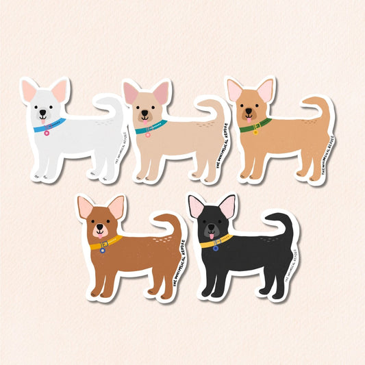 Chihuahua Vinyl Sticker, 5 Colours