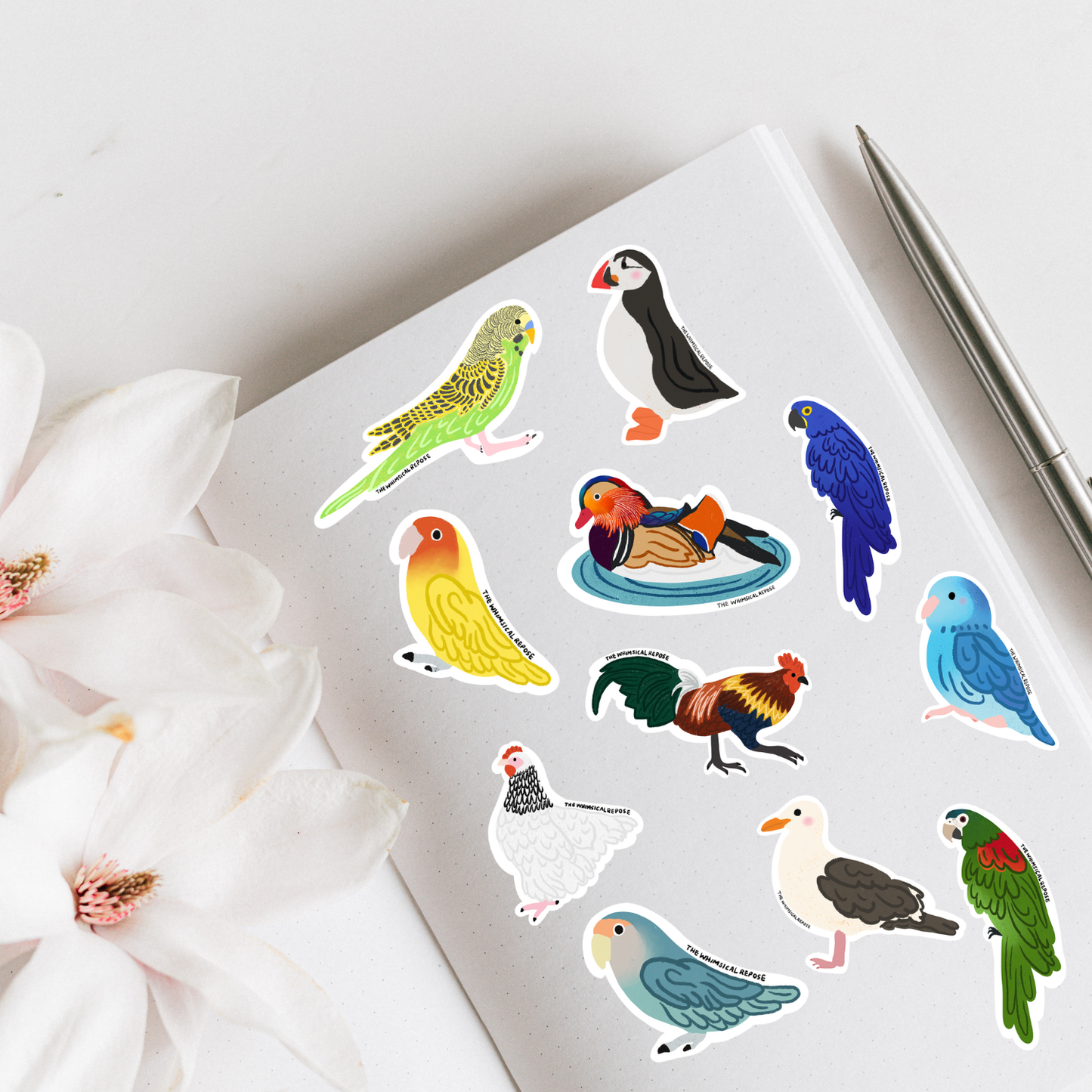 Rainbow Lorikeet Vinyl Sticker