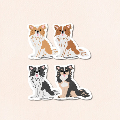 Chihuahua (Long Haired) Sticker, 4 Colours