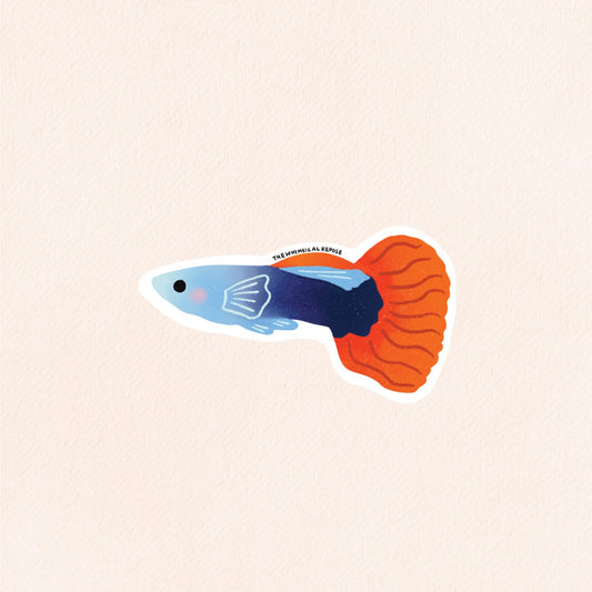 Guppy Fish Sticker