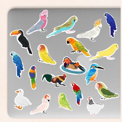 Macaw Vinyl Sticker, 8 Colours